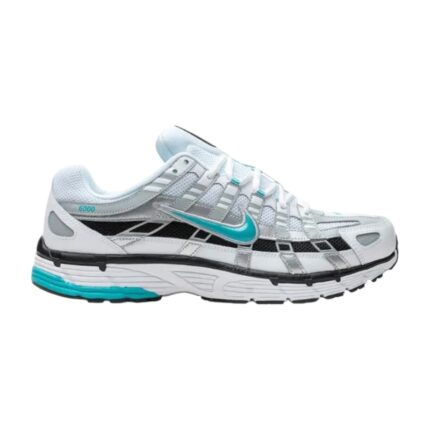 Nike P-6000 Dusty Cactus